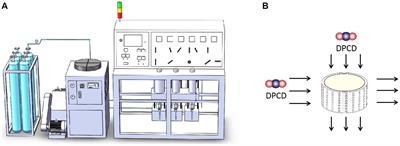 Changes in advanced protein structure during dense phase carbon dioxide induced gel formation in golden pompano surimi correlate with gel strength